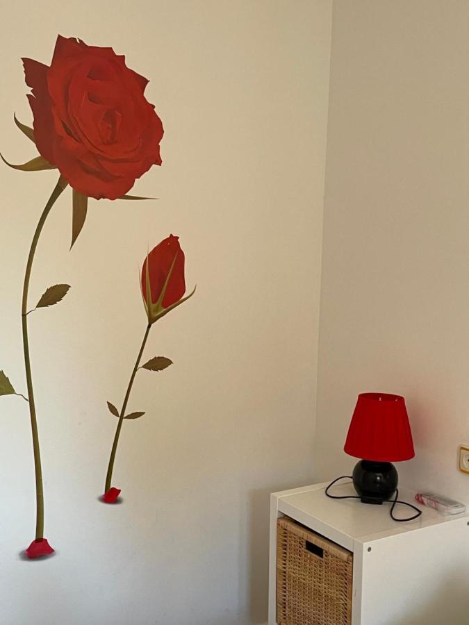 Apartamento Beatriz Cuenca  Luaran gambar